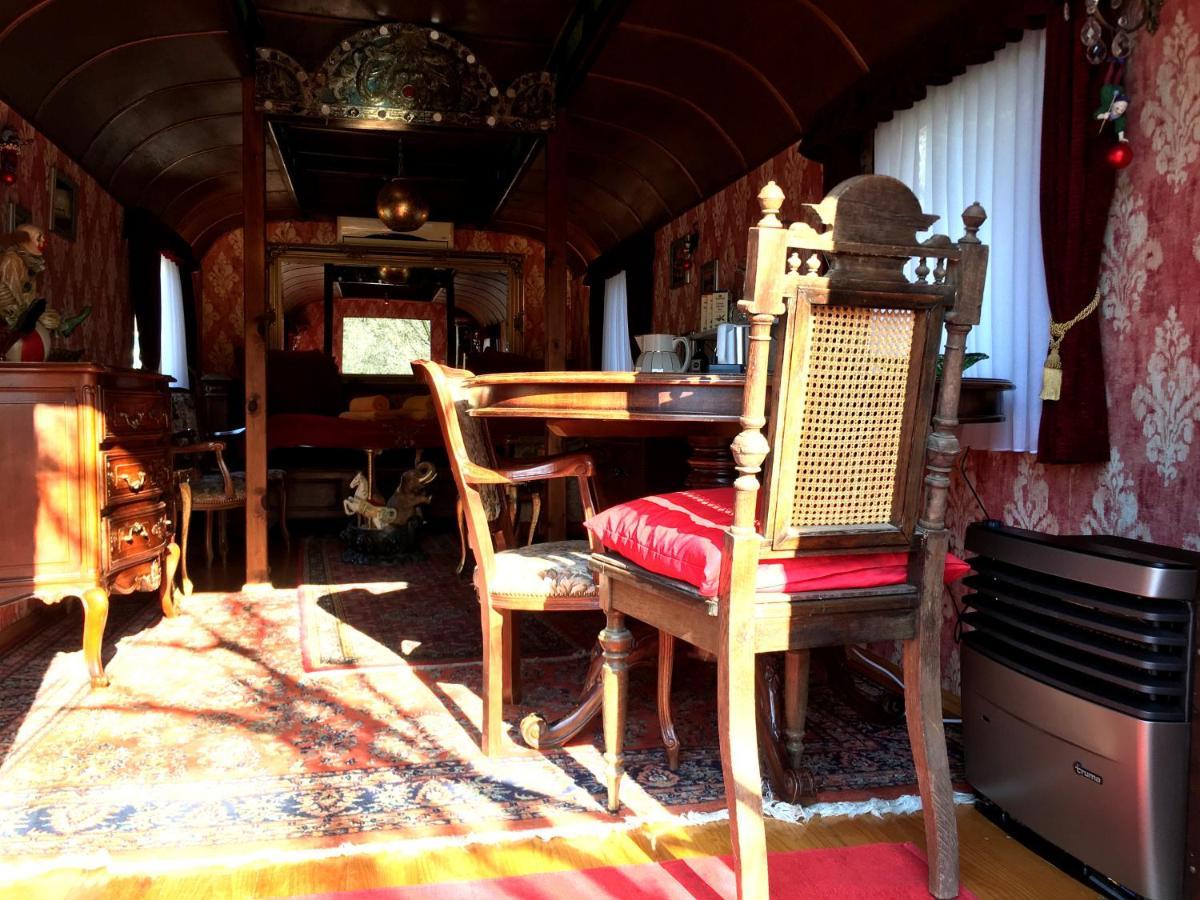 Historischer Zirkuswagen Mit Terrasse Und Blick Ins Gruene Witzenhausen Buitenkant foto